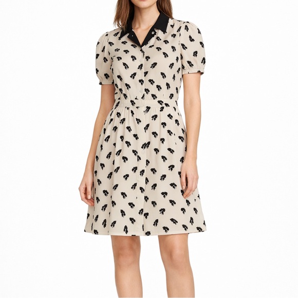 Jason Wu Grey 100% Silk Leaf Print Shirt Dress Ivory Black Collared Size 4